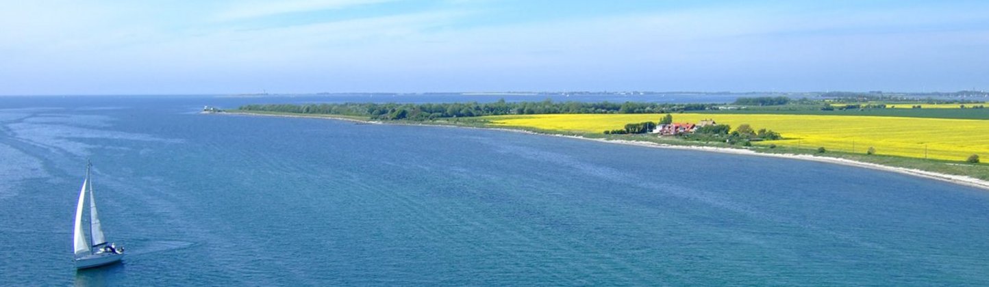 Blick aufs Meer, rechts ein Stück Wald und ein Rapsfeld